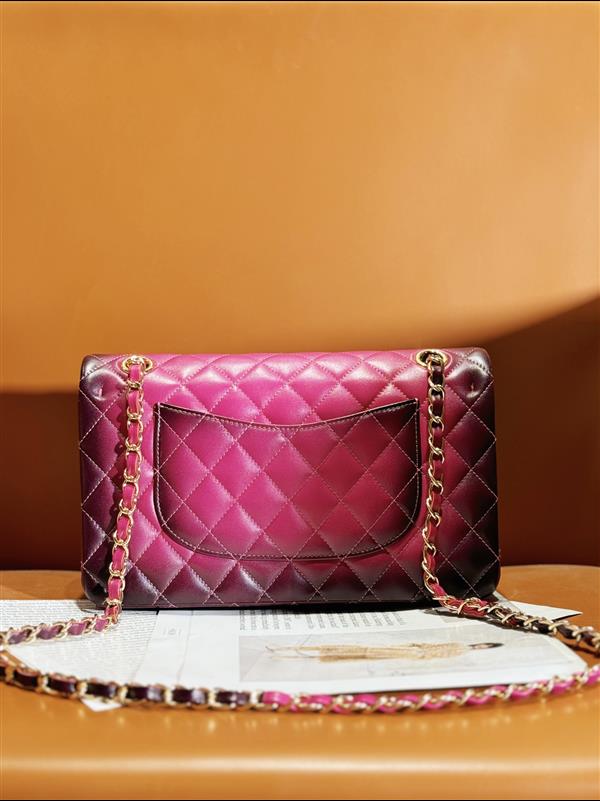 2026131214249312 860